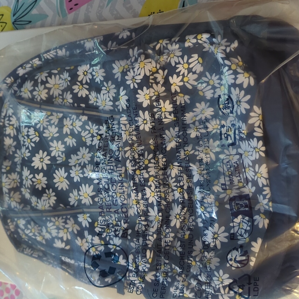 NWT Lands' End XL backpack